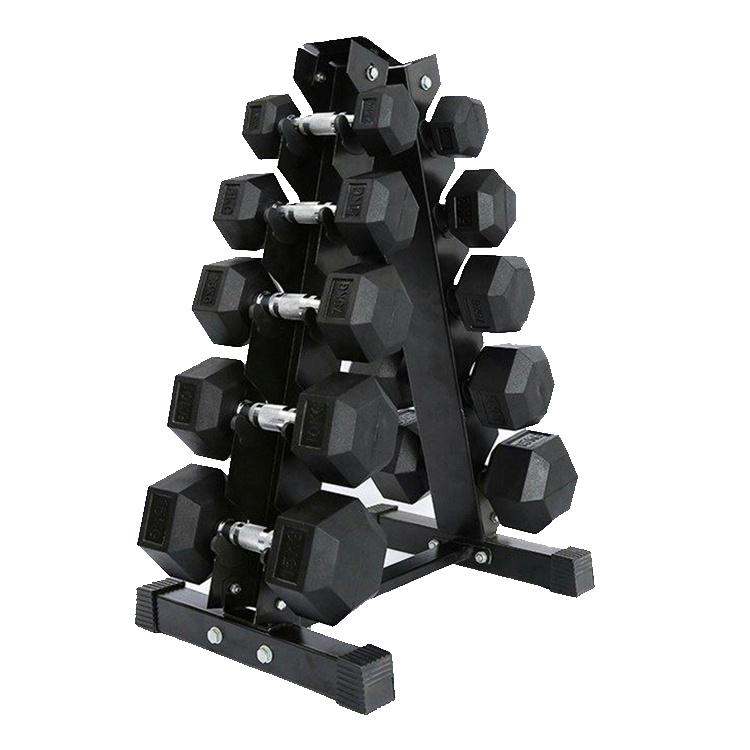 De trainingsmethode van de dumbbell